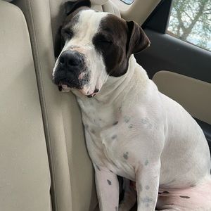 Meet your Posher, Adriana